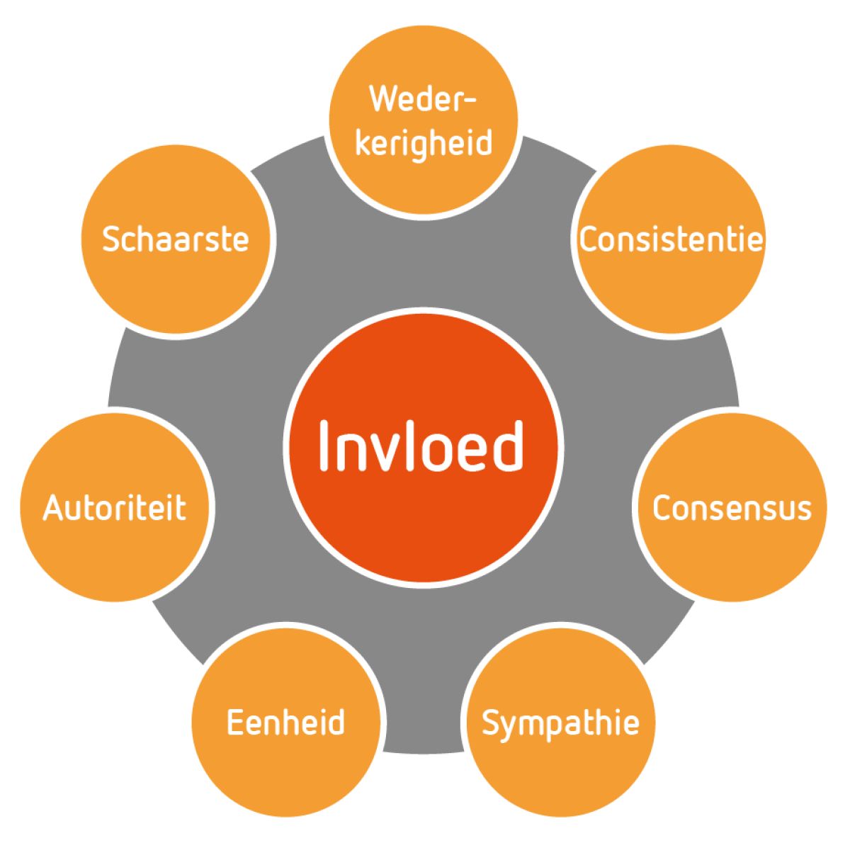 invloed WikiWoordenboek