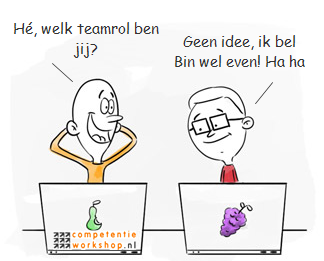 Belbin team roles compatibility image