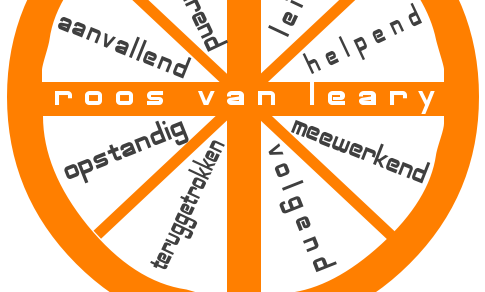 Roos van Leary Competentieworkshop