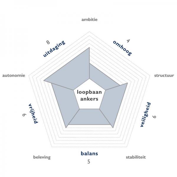 loopbaanankers
