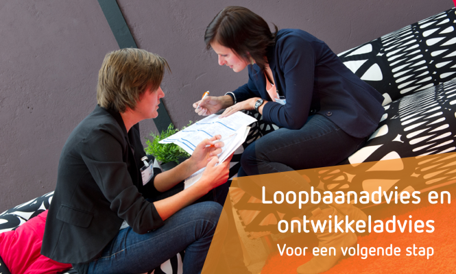 loopbaanadvies en ontwikkeladvies v2