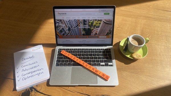 Oordeelsvorming - conclusies - adviseren - consequenties - oplossingen ordeel